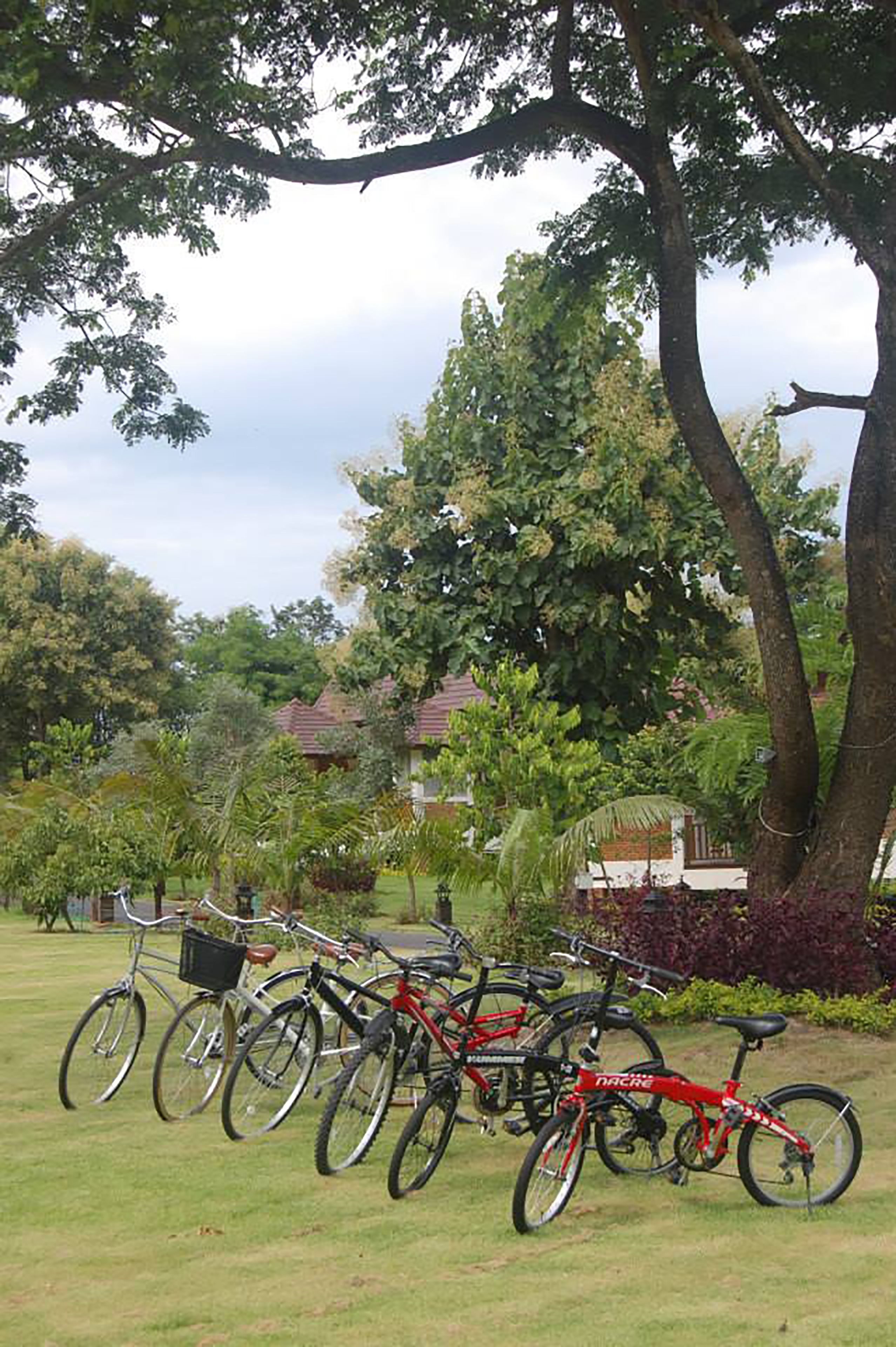 Bicycles parked in a grassy area with trees and a building in the background.