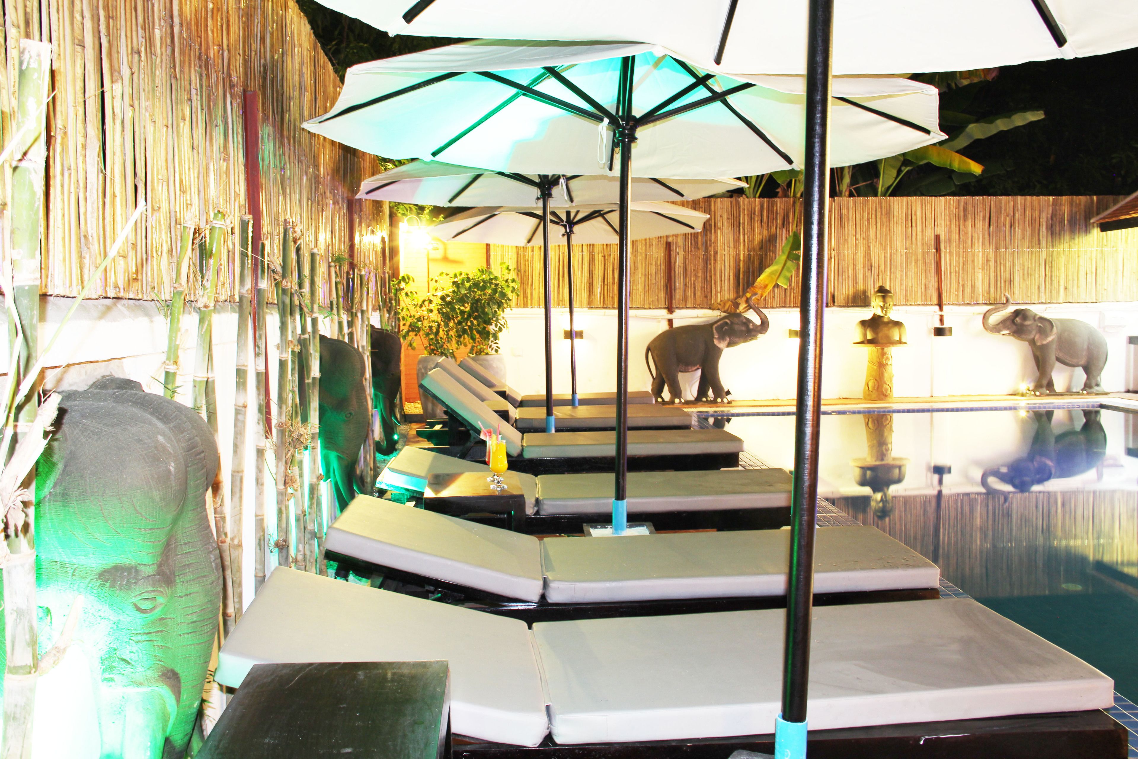 Photo - Golden Orchid Angkor