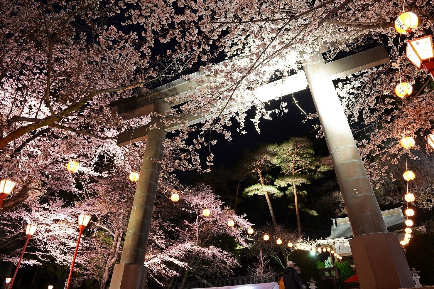 A traditional Japanese torii gate structure with cherry blossoms and hanging lanterns.