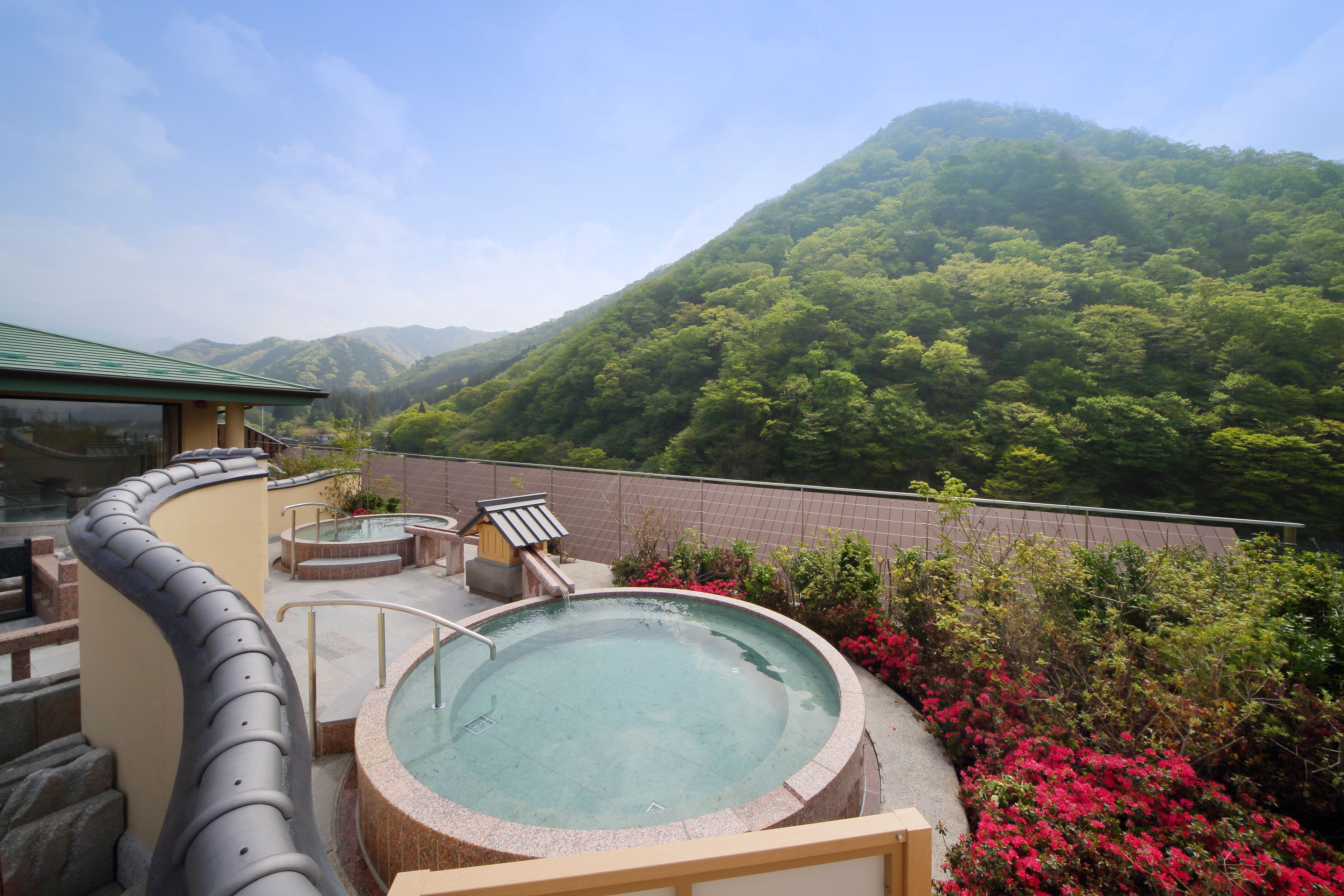 Un jacuzzi con vista a la montaña, rodeado de vegetación y una cerca.