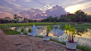 A serene landscape with a pond, potted plants, and a distant building. - Overflow Guesthouse (Siem Reap)