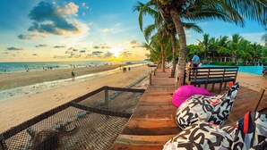 A beachside lounge with a pool, palm trees, and a wooden deck.