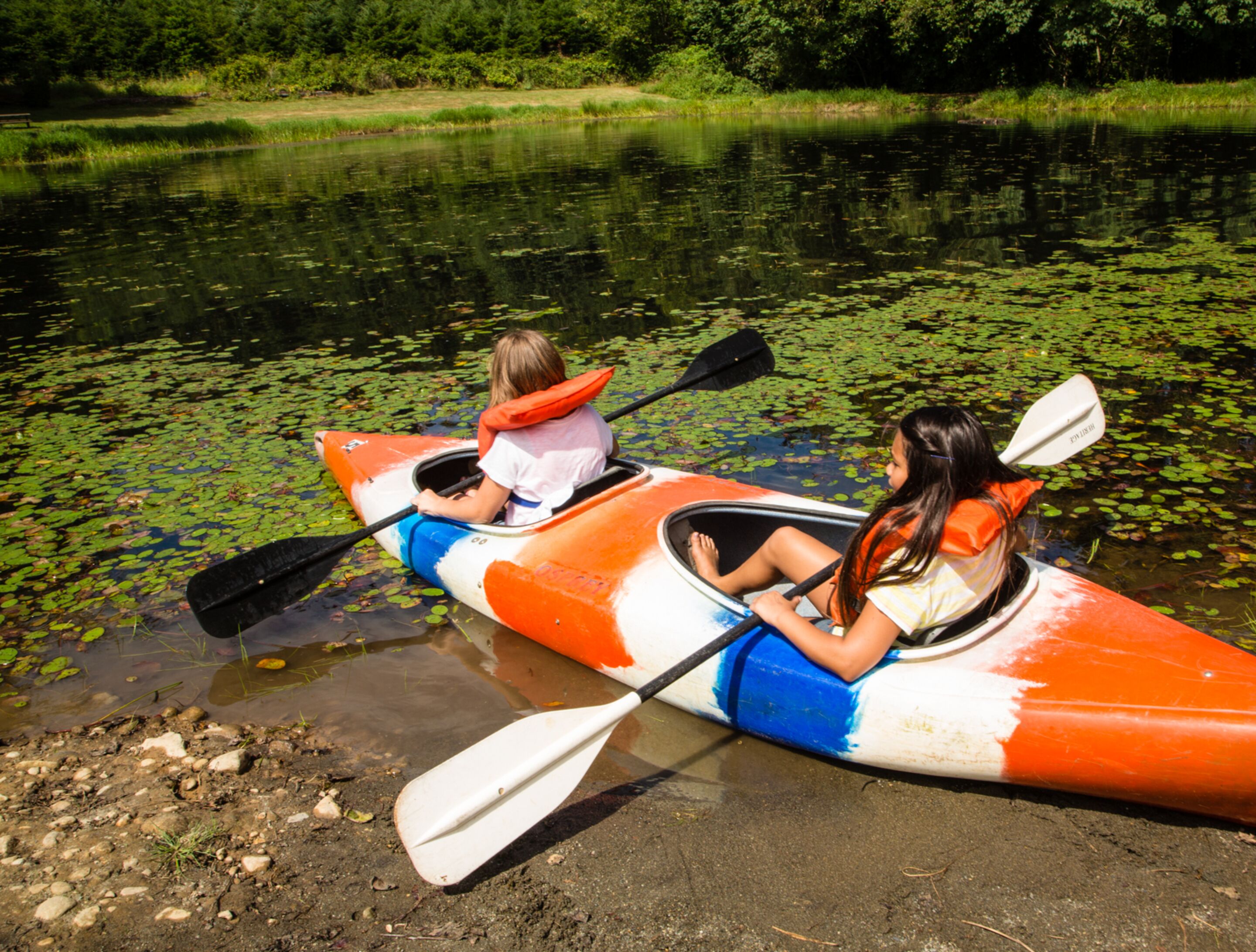 Two people in a canoe on a calm river with lily pads.