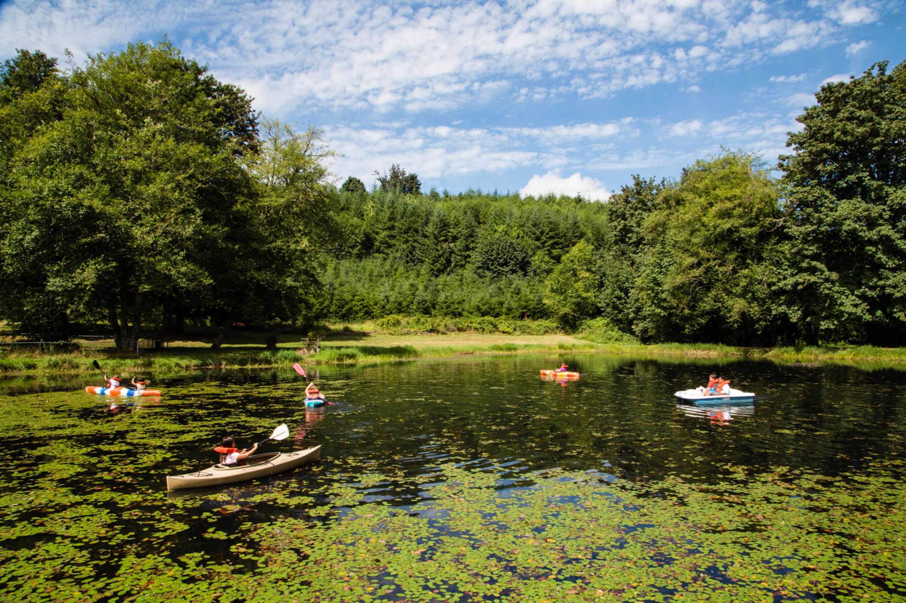 A calm lake with kayaks and a canoe, surrounded by dense greenery and trees.