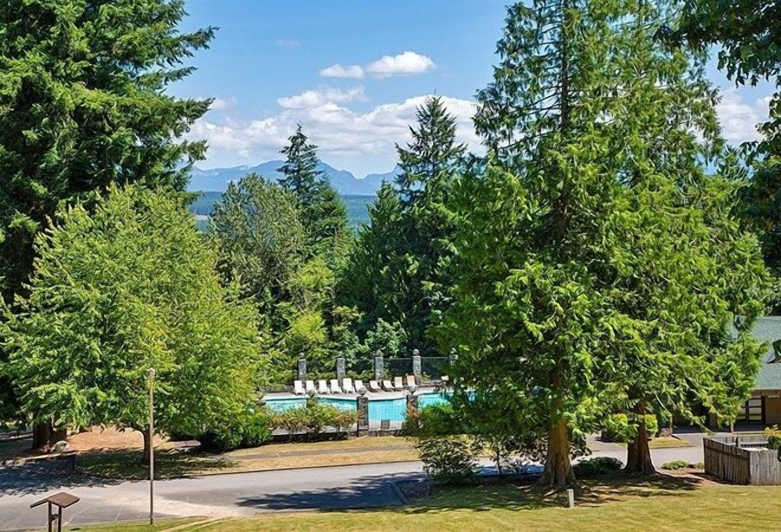 Un quartier résidentiel doté d’une piscine, d’arbres et offrant une vue sur la montagne.