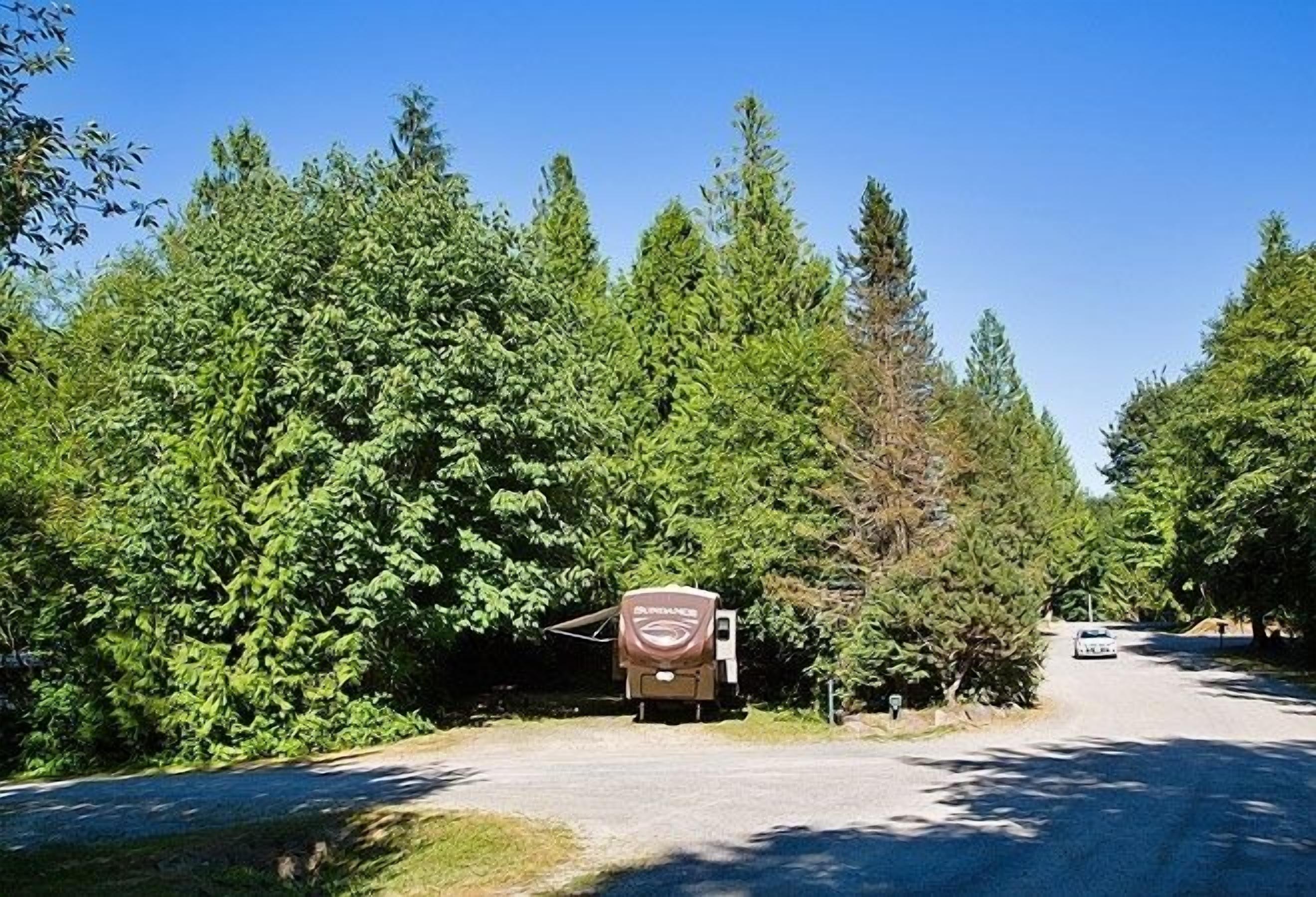 A campground with RVs and a large tent-like structure, surrounded by dense trees.