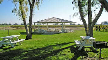 BBQ/picnic area