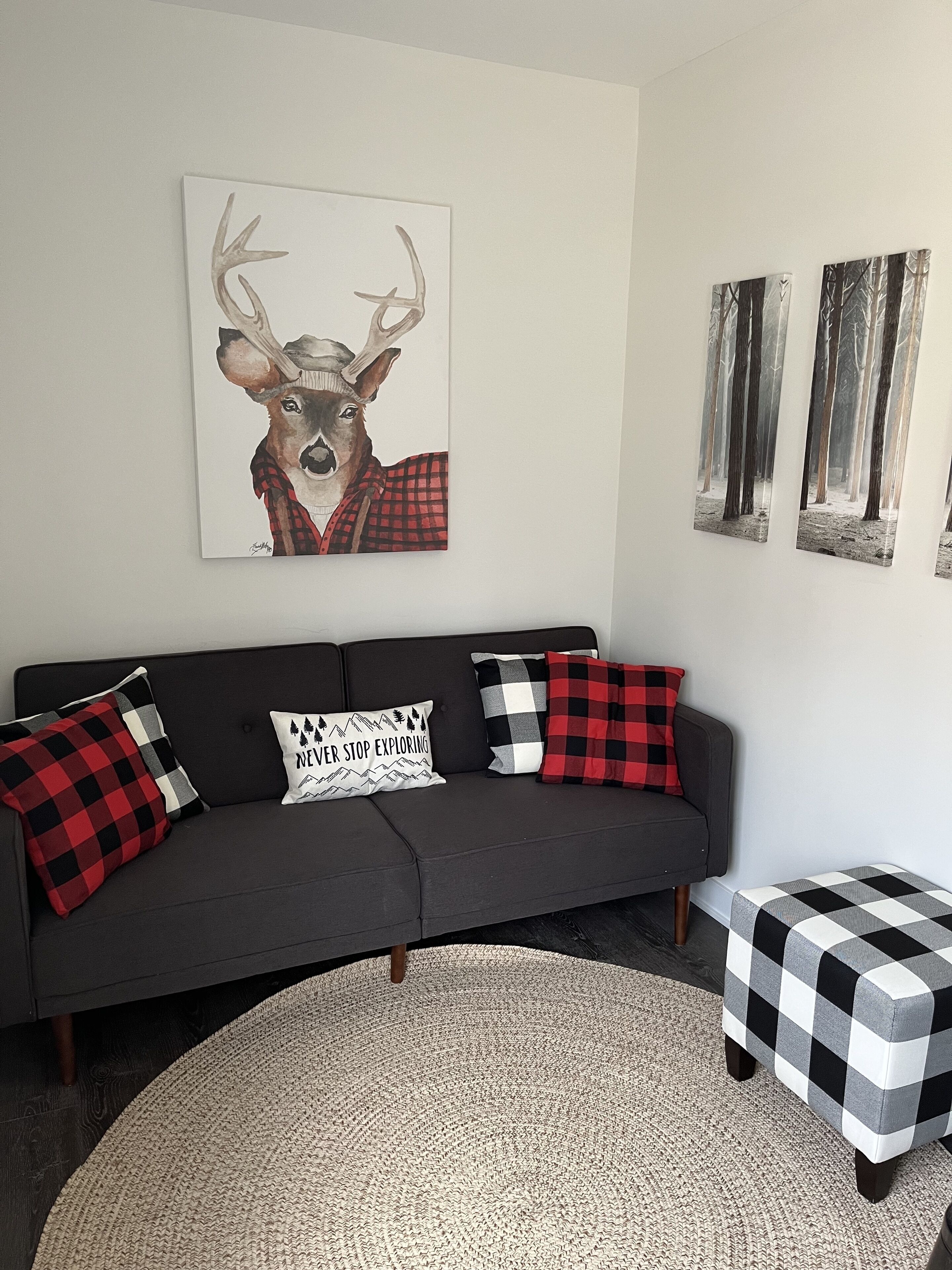 A modern living room with a dark grey sofa, red and black checkered pillows, a round woven rug, and a small black and white checkered ottoman.