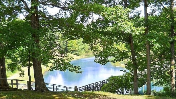 A lakeside view with a wooden deck and a railing overlooking the water. - Cherokee Landing Campground (Saulsbury)