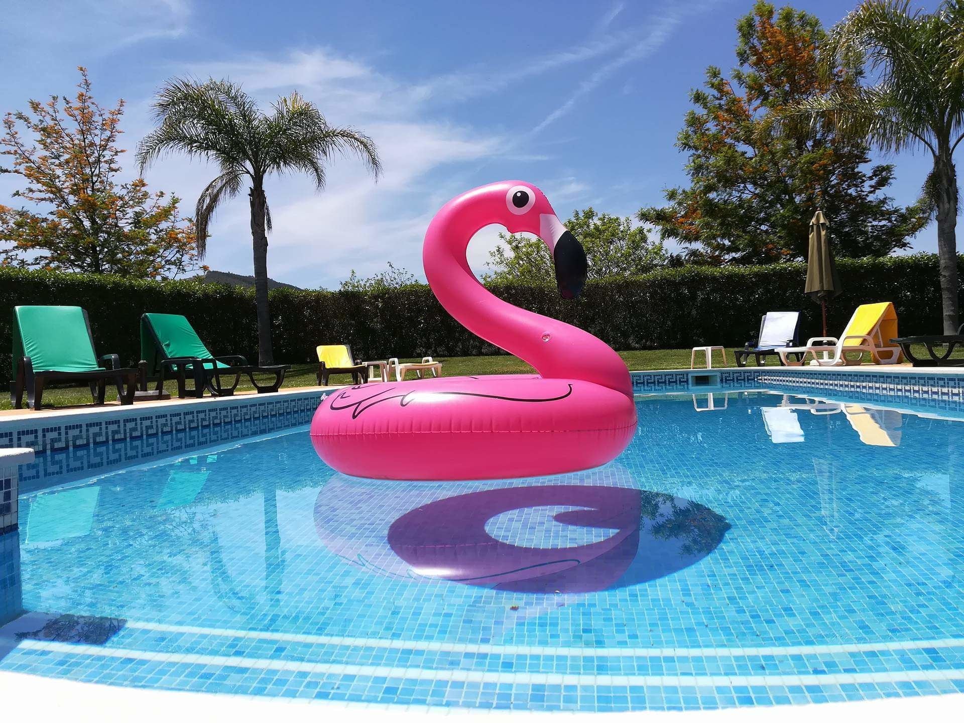 Una piscina al aire libre, tumbonas