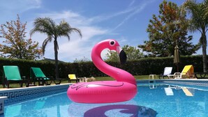 A swimming pool with a pink flamingo float. - Nave Redonda do Cerro (Odemira)