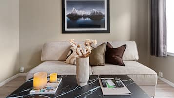 Superior Apartment, 1 Queen Bed with Sofa bed | Living area | Flat-screen TV, DVD player
