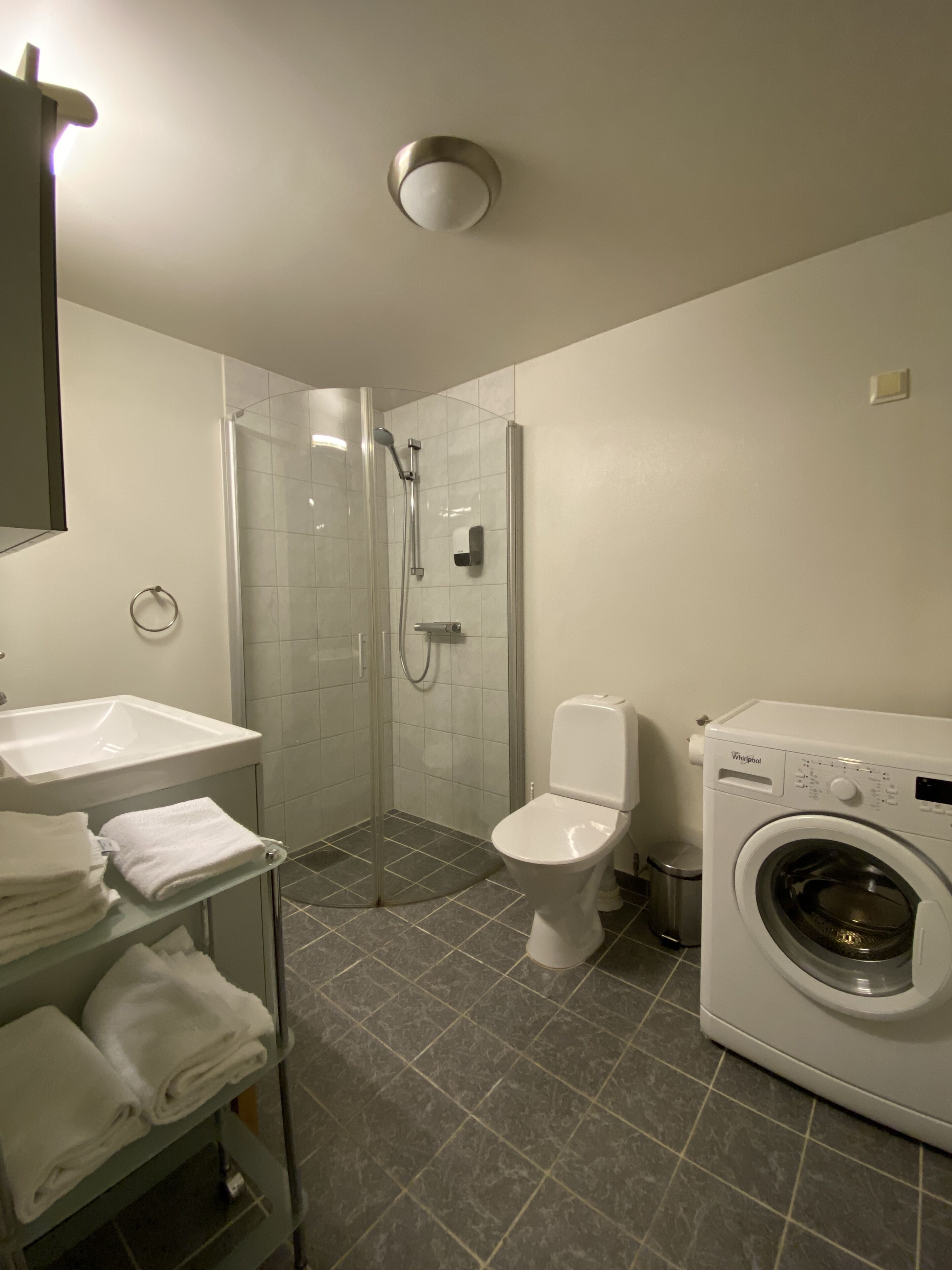 A bathroom with a shower, toilet, sink, and a washing machine.