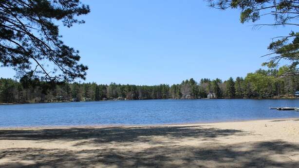 A sandy beach with a calm lake, surrounded by dense trees and a clear blue sky.
