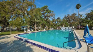 A rectangular swimming pool with a tiled edge, surrounded by lounge chairs and palm trees.