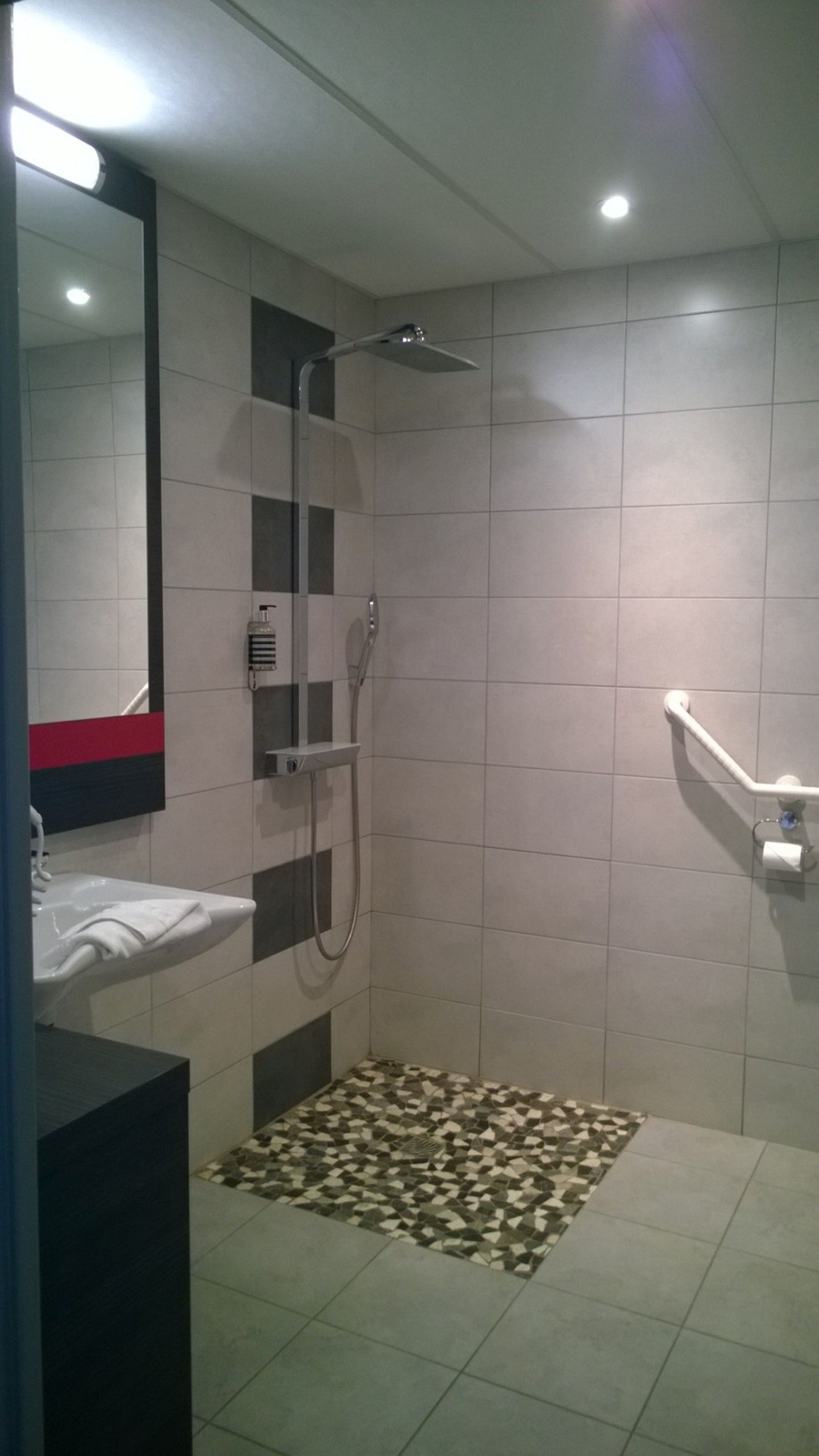 double room, accessible | bathroom shower