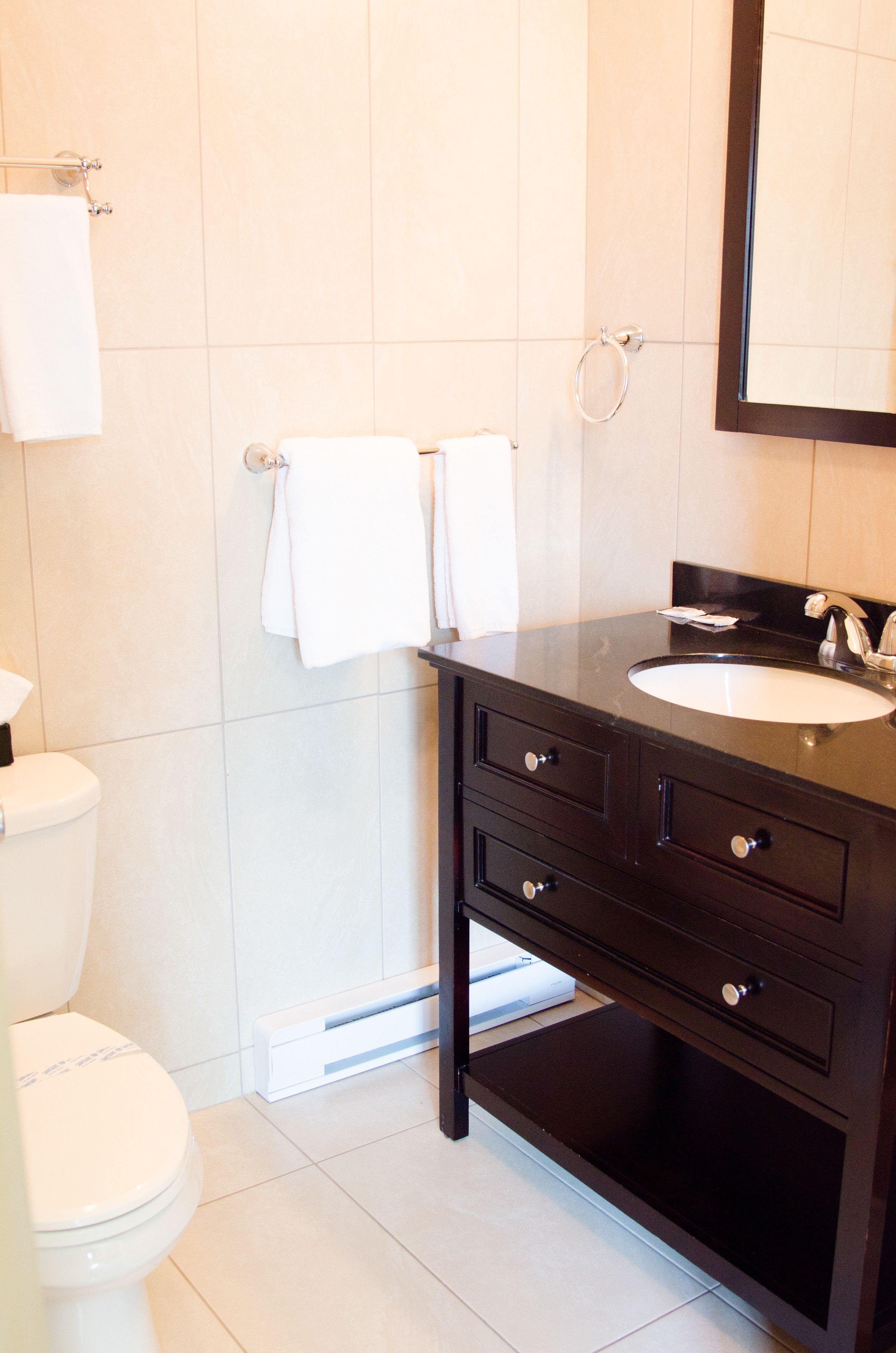 A bathroom with a white toilet, a dark wooden vanity with a sink, and a mirror.