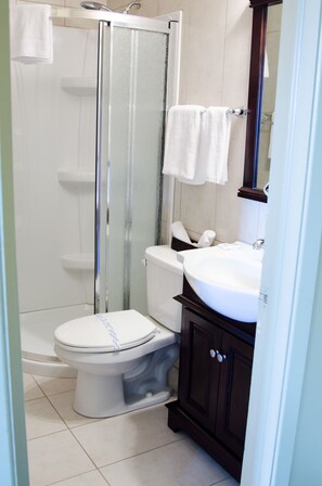 Combined shower/bathtub, hair dryer, towels - Hotel econo-one (Amos)