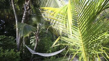 A hammock between palm trees in a lush garden.