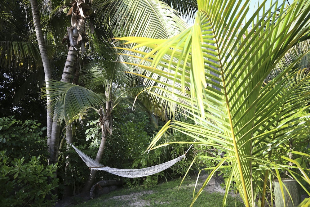 Tingum Village Hotel by null