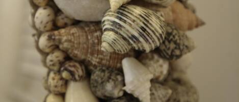A collection of various seashells and stones arranged closely together.
