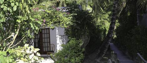 Un sendero estrecho bordeado de exuberante vegetación y un pequeño edificio con puerta y ventana.