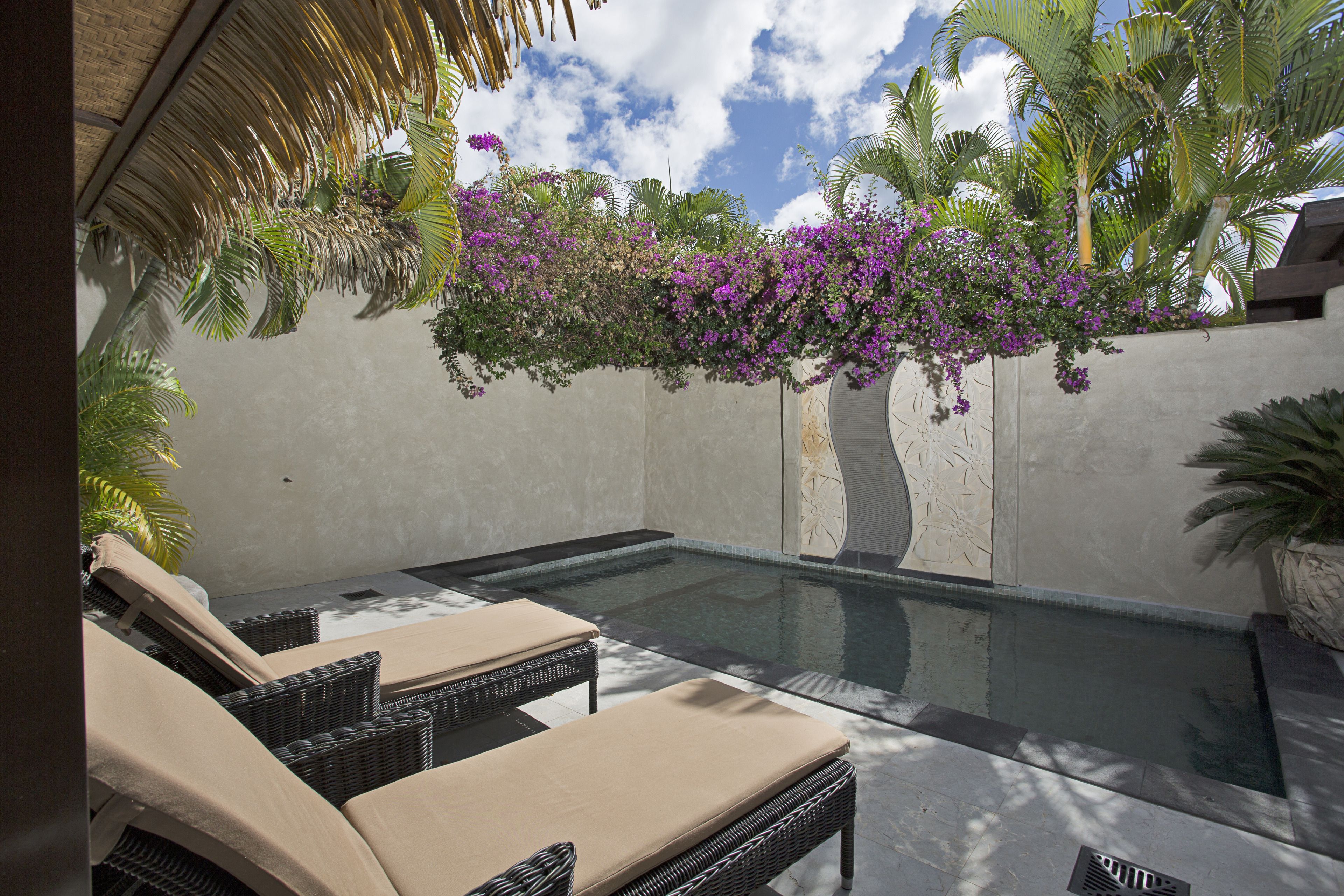 Zona junto a la piscina con sillones de descanso, pared de concreto y plantas con flores.