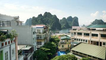 Double Room Single Use | View from room