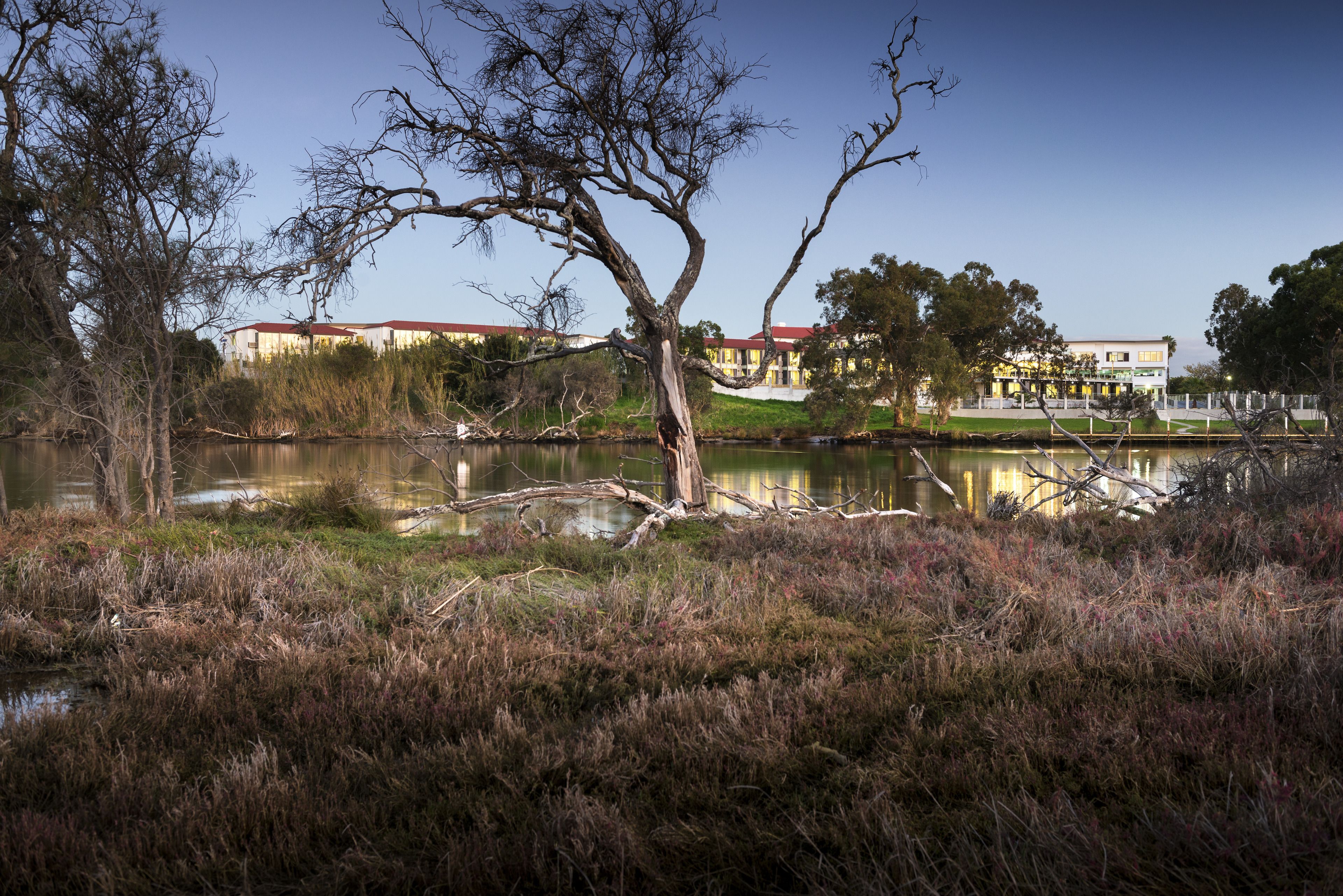 Foto - Swan River Hotel