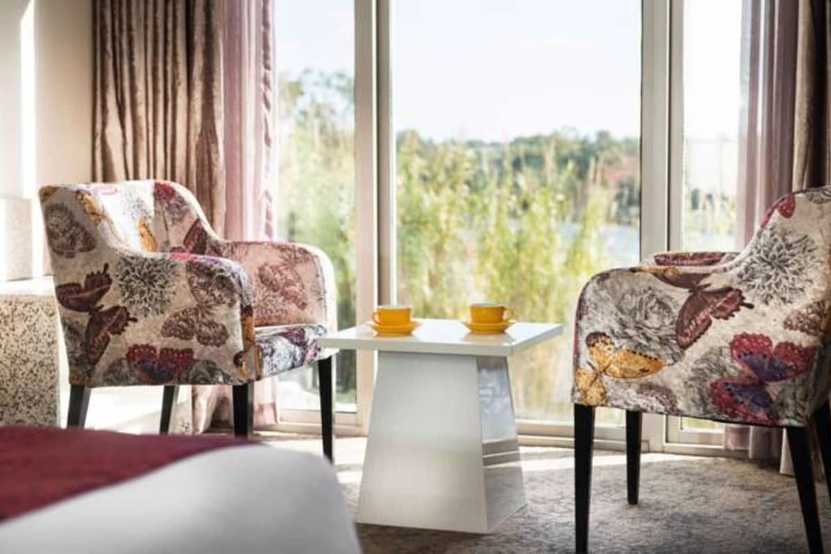 superior double room, river view | view from room