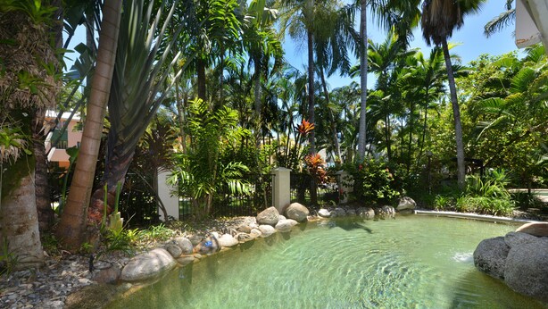 A clear pool surrounded by tropical vegetation and rocks. - Driftwood Mantaray (Port Douglas)