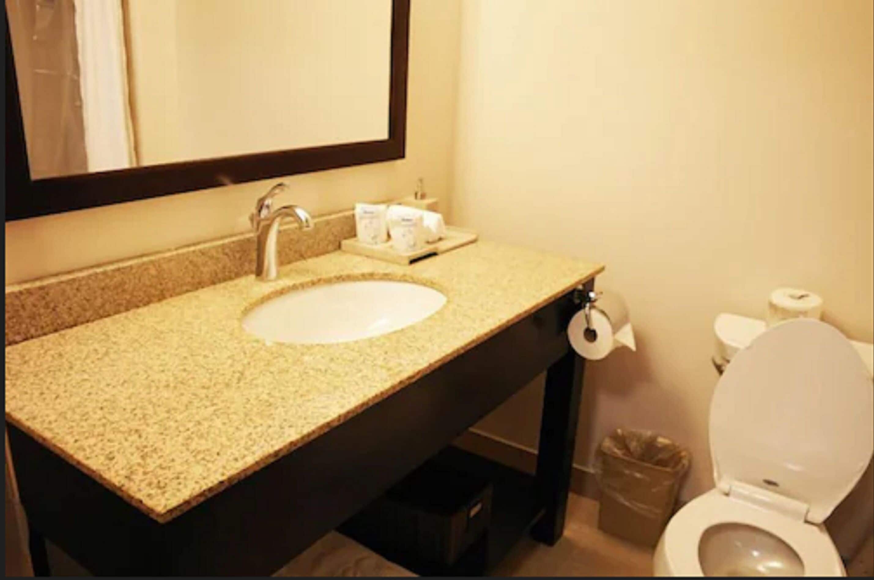 combined shower/bathtub, free toiletries, hair dryer, towels