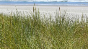 A beach with tall grass in the foreground and waves in the background. - Strahan Bungalows (Strahan)