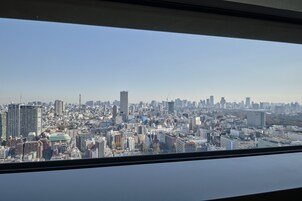Vista panorámica de la ciudad desde un rascacielos.