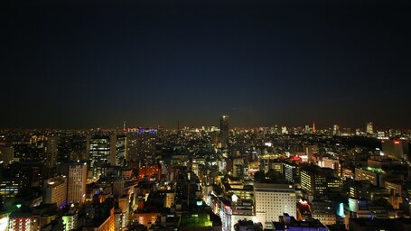 Hotel Gracery Shinjuku - Image 44