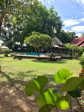 Una piscina al aire libre, sombrillas, tumbonas