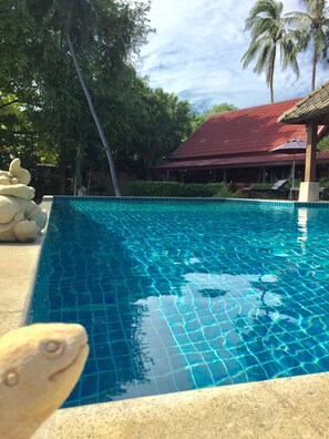 Outdoor pool, pool umbrellas, sun loungers