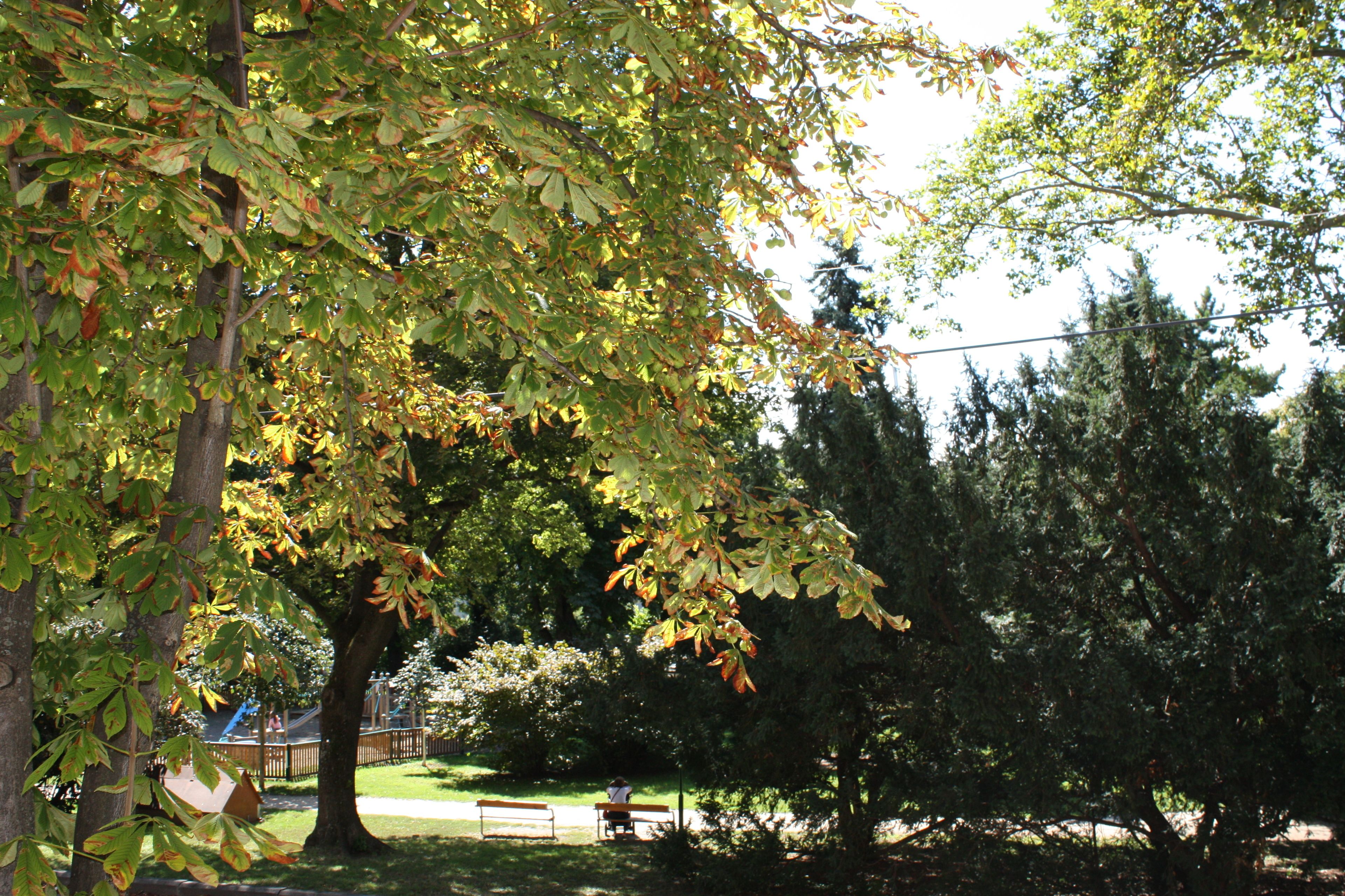 Estudio | Vista desde la habitación