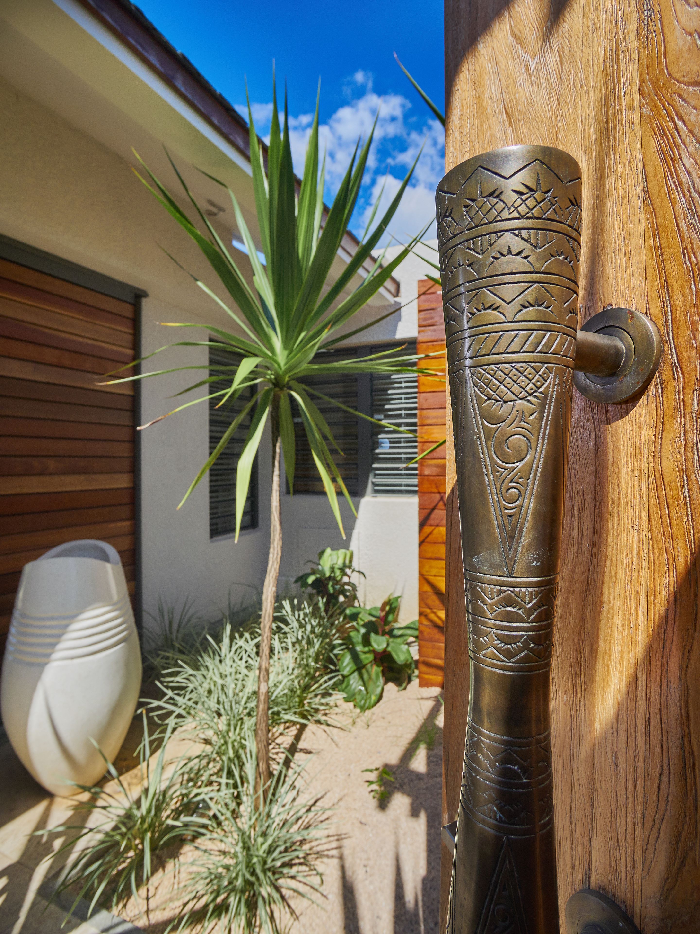 Une maison moderne avec une porte en bois, une plante en pot et une poignée de porte décorative en métal.