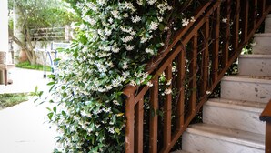 Staircase - Erifili (Kassandra)
