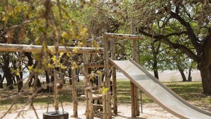 A playground with a slide and swings, surrounded by trees. - Medina Lake RV Campground (Pipe Creek)
