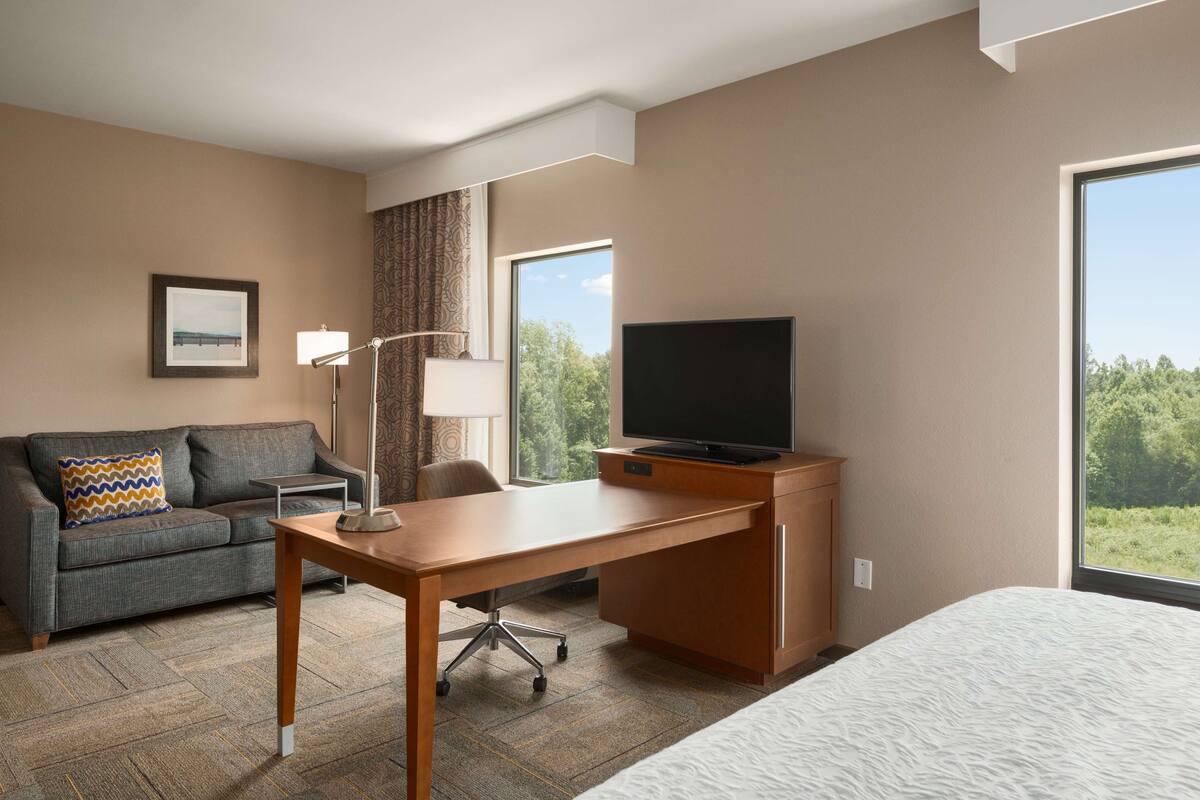 A hotel room with a bed, a desk with a television, a sofa, a lamp, and a window with a view of trees.