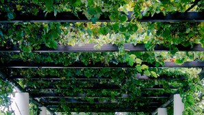 Una pérgola con suelo de piedra y sillas de metal.