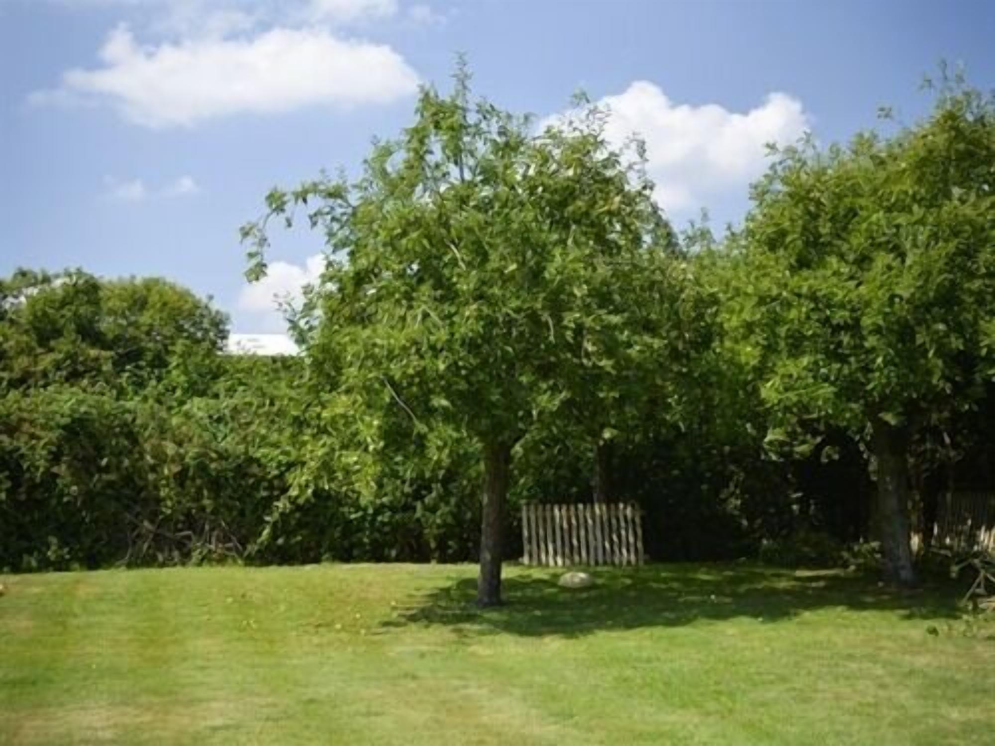 deluxe double room, ensuite, garden view (the warren) | view from property