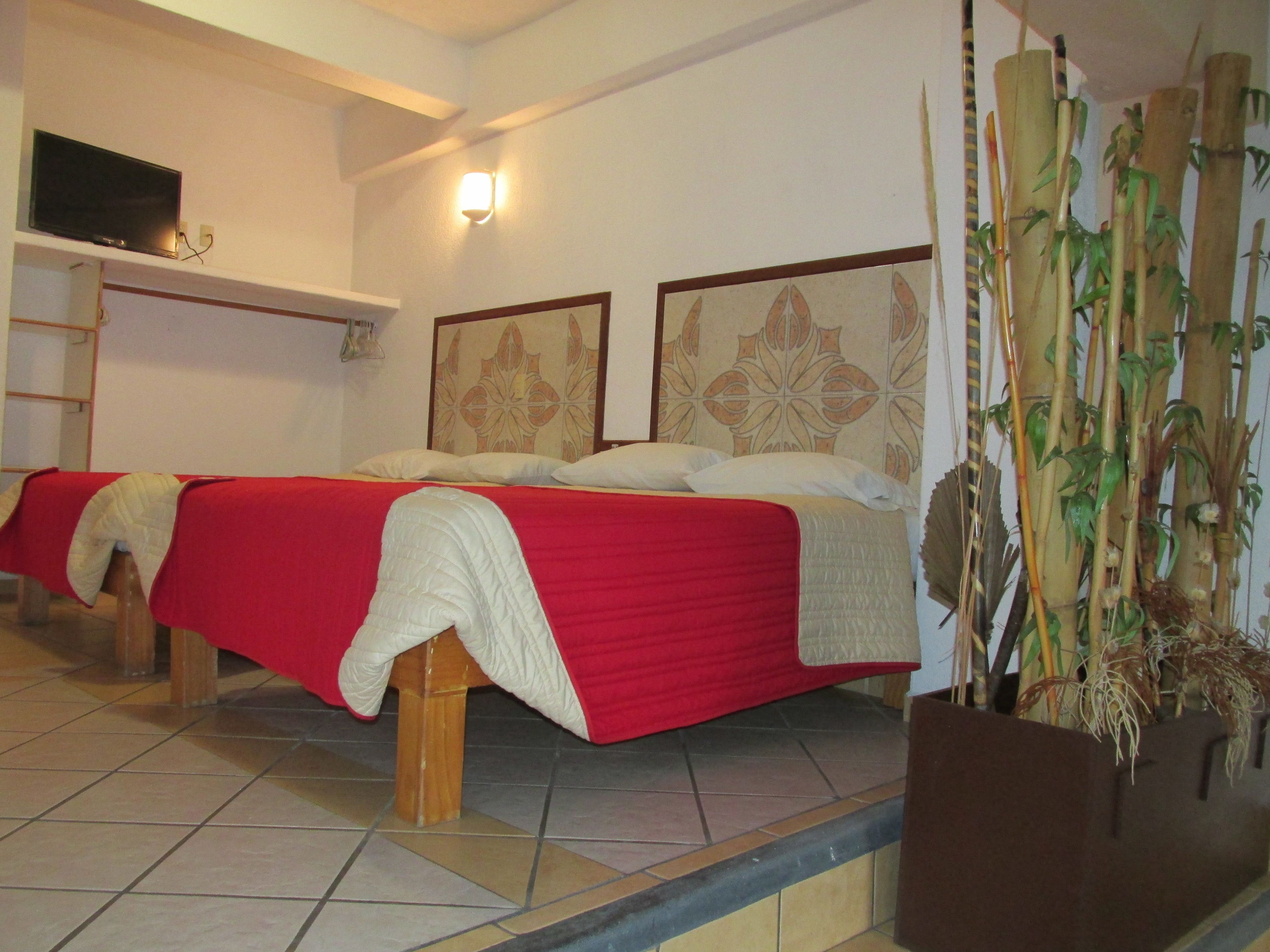 Foto - Hotel Albatros