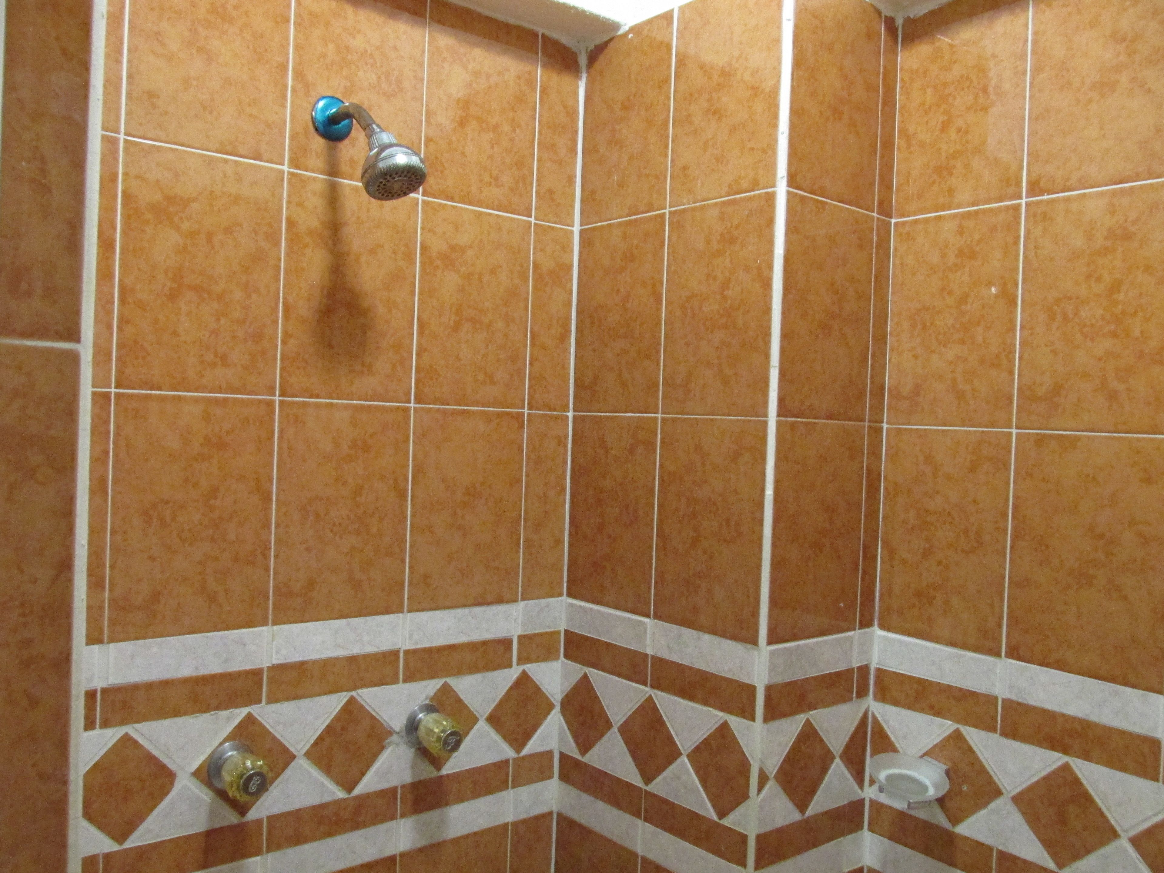 Foto - Hotel Albatros