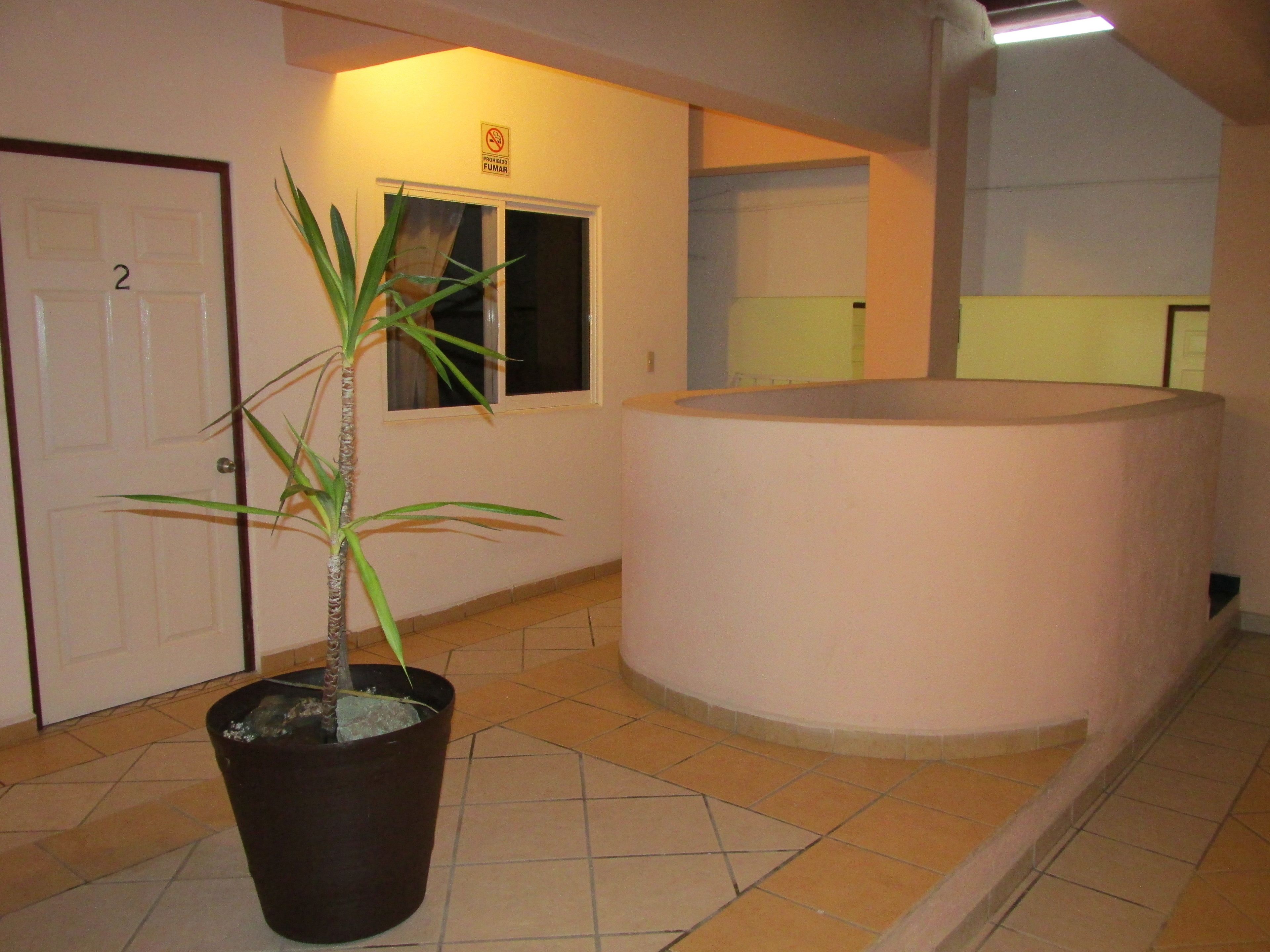 Foto - Hotel Albatros