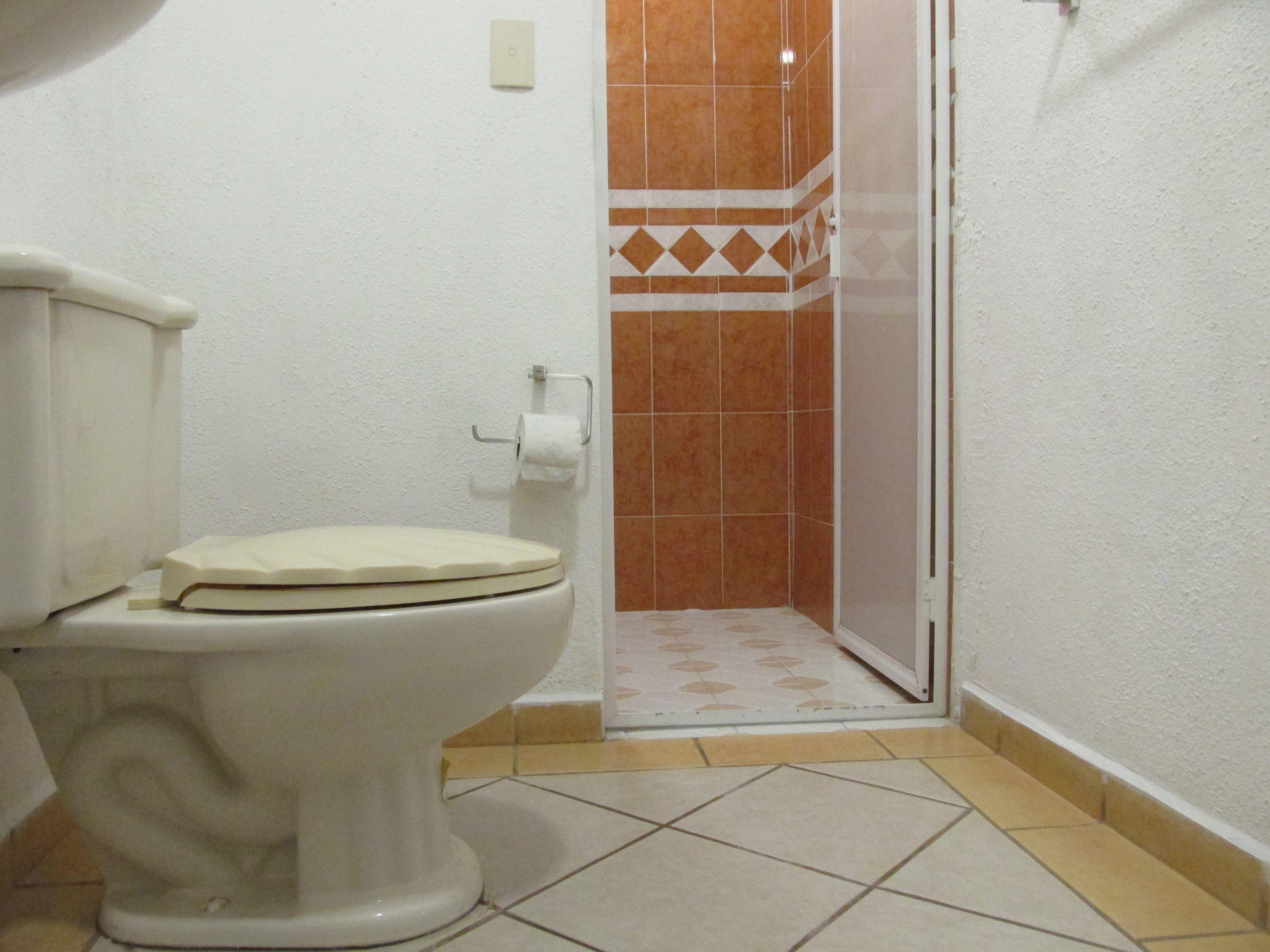 Foto - Hotel Albatros