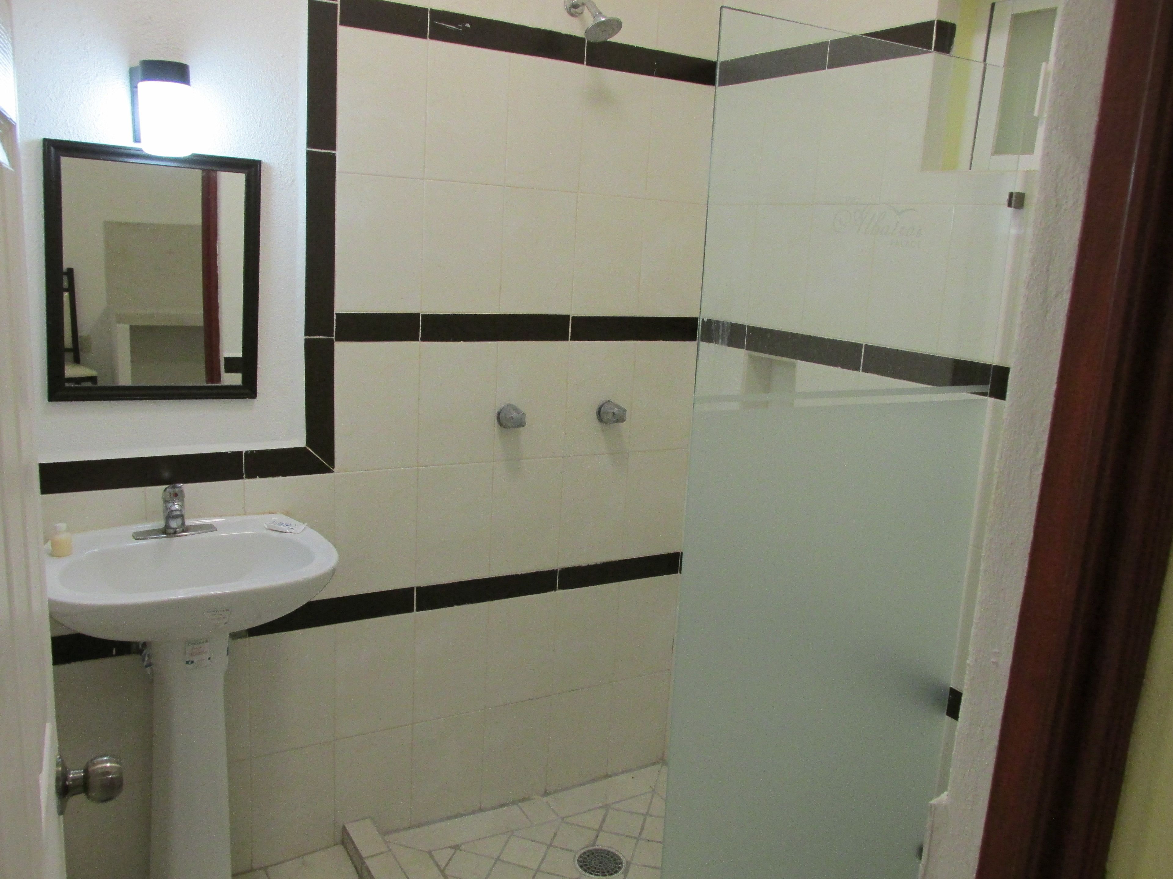 Foto - Hotel Albatros Palace