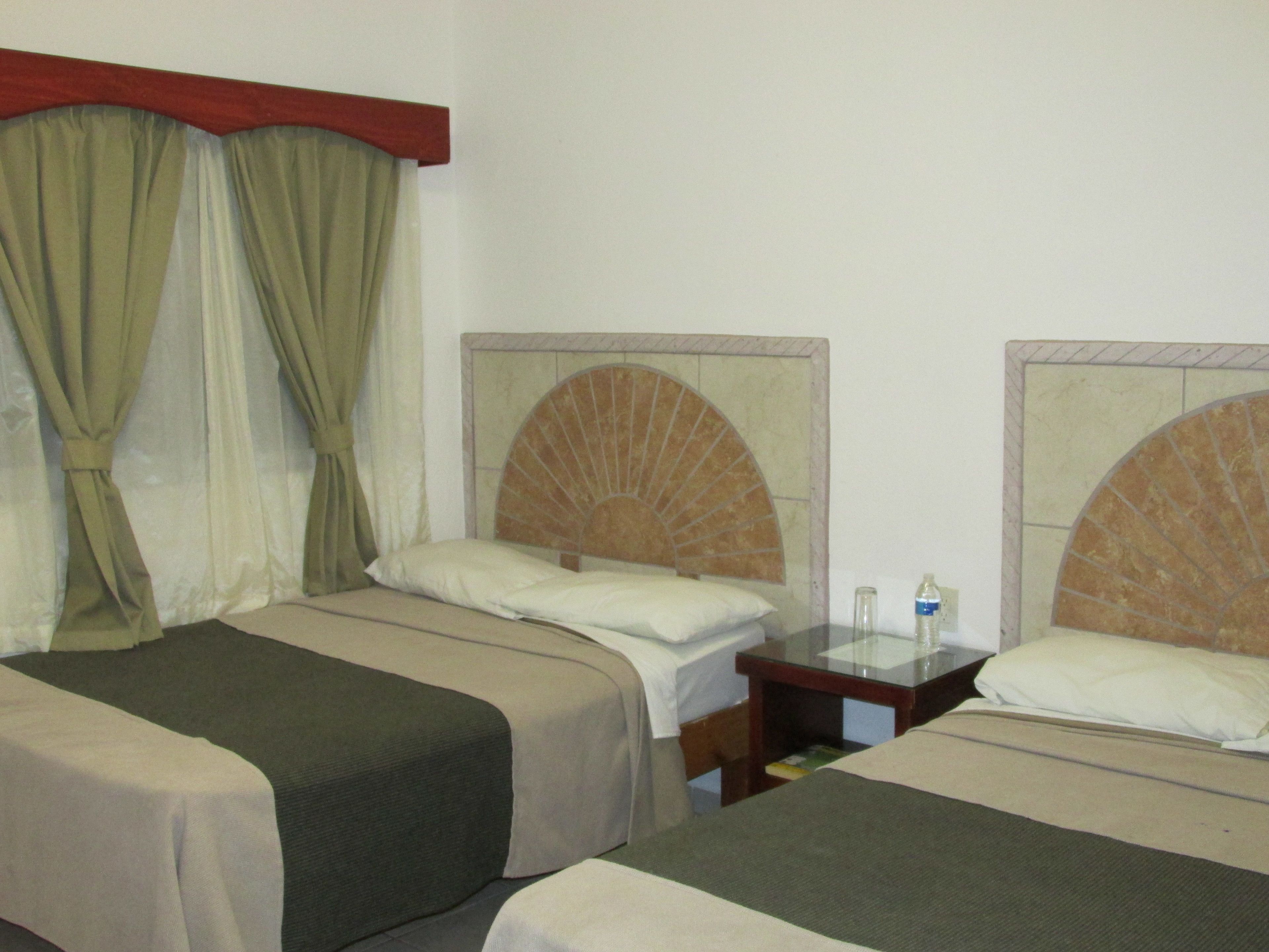 Foto - Hotel Albatros Palace